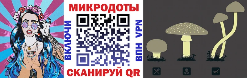 kraken как зайти  Алексин  Псилоцибиновые грибы ЛСД 