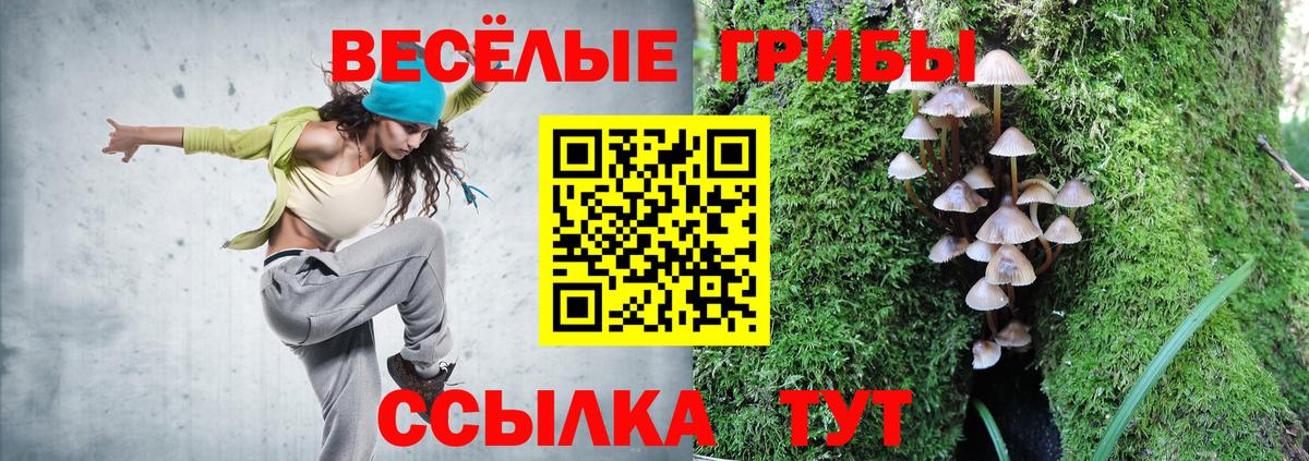 Галлюциногенные грибы Psilocybe Алексин