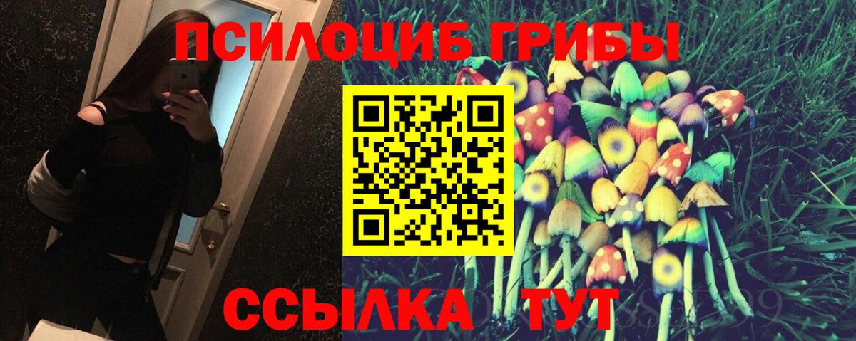 Алексин  Псилоцибиновые грибы мухоморы  закладка  Вход с VPN 