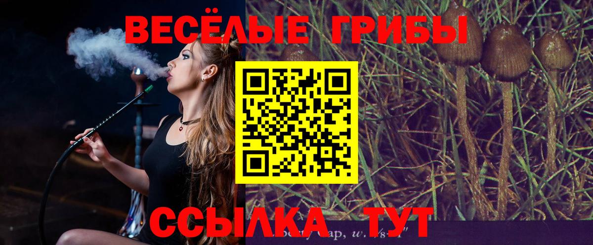 Галлюциногенные грибы прущие грибы Алексин