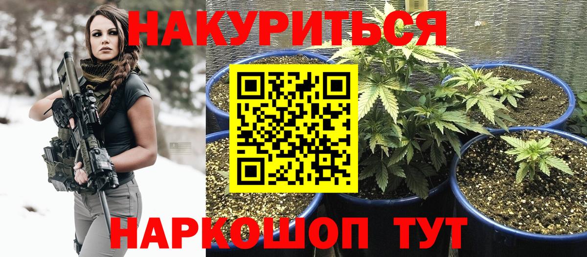 Марихуана семена  Алексин  МАРИХУАНА MAZAR 